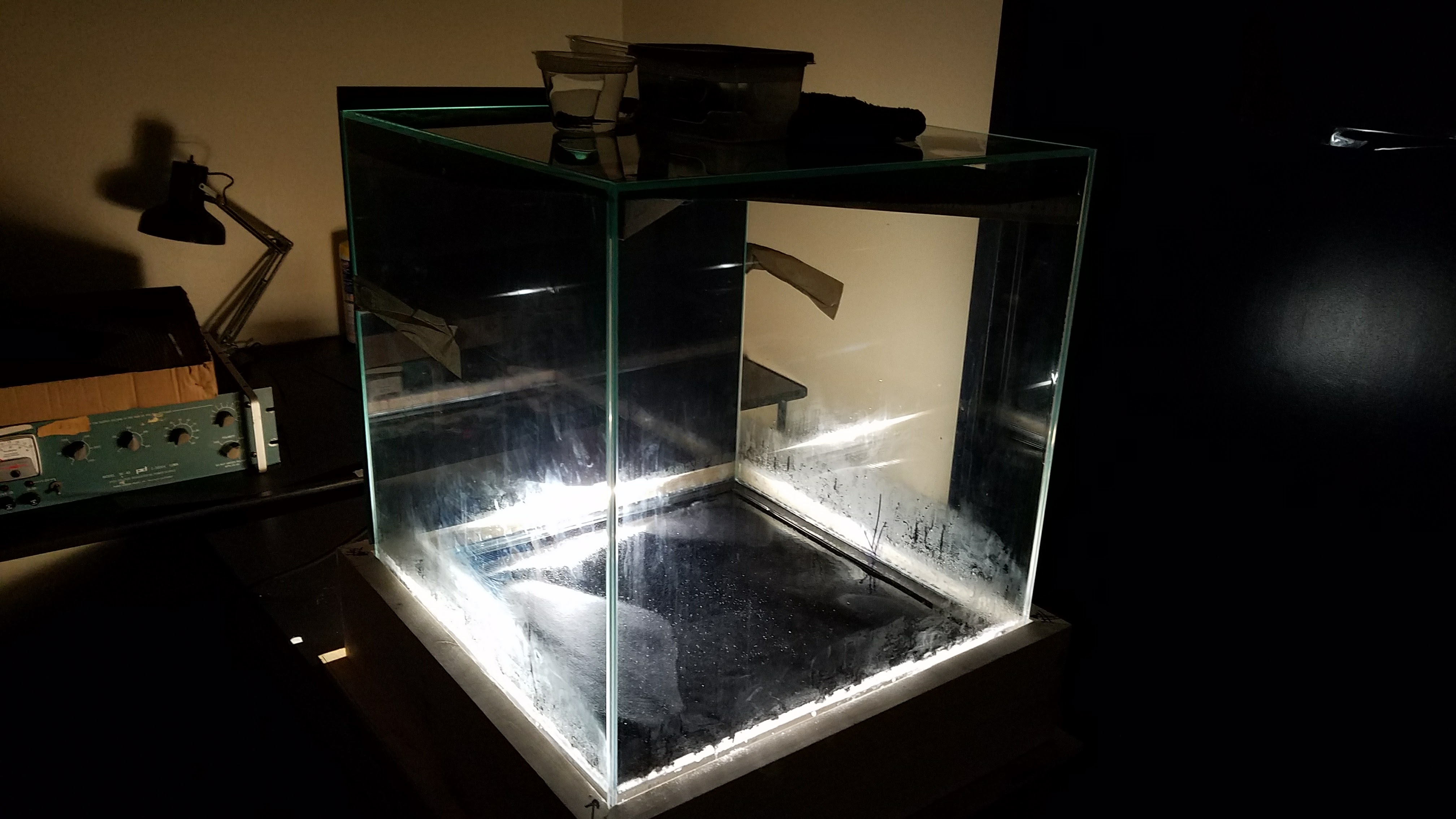 Cloud Chamber